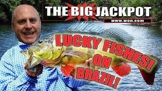 LUCKY FISHES  BRAZIL WIN$ with The Big Jackpot | The Big Jackpot