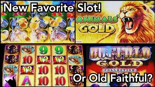 A New Favorite Slot? BIG Wins While Low Rolling on Animals' Gold and Buffalo Gold!