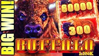 HUGE BUFFALO BALL!! BETTER THAN A MAJOR JACKPOT!! BUFFALO LINK Slot Machine (Aristocrat)(Aristocrat)