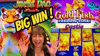 I Put A Tiger In My Big Win! Tigers, Goldfish and Money Coins!