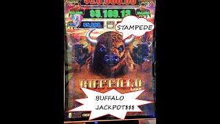 Buffalo Live JACKPOT $$$  FIRE STAR  VGT JB Elah Slot Channel, Choctaw Best Free Money Red Spins USA