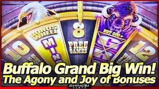 Buffalo Grand Slot Machine - BIG WIN Bonus!  The Agony and Joy of Free Spins Bonuses!