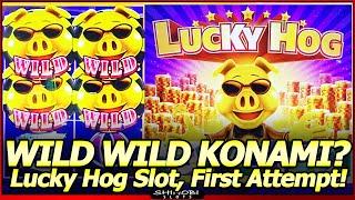Lucky Hog Slot Machine - Wild Wild Konami!?  First Attempt, Live Play and Nice Feature Hits!