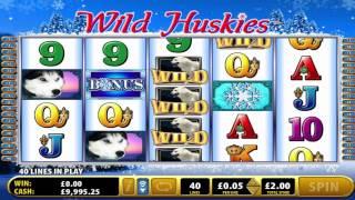 Wild Huskies slot by Bally video game preview