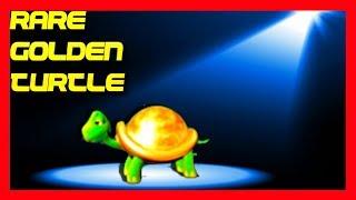 RARE! INCREDIBLE! AS IT HAPPENS! SDGuy Picks PERFECTLY to Find The RARELY Seen Golden Turtle!