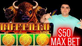 What Will Pay Buffalo Link Slot $50 Max Bet Bonus ? | Live Slot Play At Casino | SE-4 | EP-4