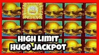 TURTLES PAID OUT MUCHO DINERO/ 88 FORTUNES HIGH LIMIT JACKPOT CAUGHT LIVE/ MAX BETS LIMITE ALTO