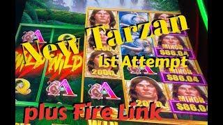 NEW TARZAN - 1st Attempt