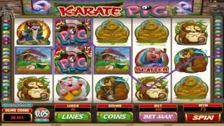 FREE Karate Pig   slot machine game preview by Slotozilla.com