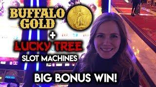 Buffalo Gold  4 COIN Bonus  BIG WIN!!! Lucky Tree Free Spins!