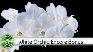 White Orchid slot machine, Encore Bonus