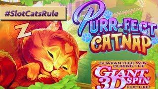 Volcanic Rock Fire  African Beat  Purr-fect Catnap  The Slot Cats