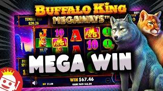 BUFFALO KING MEGAWAYS  MEGA WIN!!