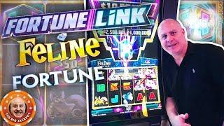 4 HUGE JACKPOT$ on Fortune Link! •Feline Fortune BONUS WINS!