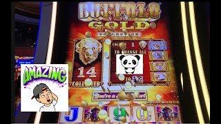 MUST SEE GIANT WIN️Buffalo Gold quest for the 15 gold buffalo heads