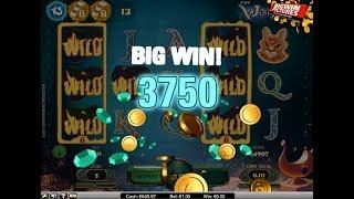 The Wish Master - Free Spins 1€ Bet BIG WINS!