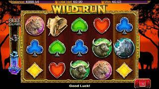 Wild Run