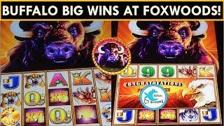 *BIG WINS* Buffalo Stampede Slot Machine - OVER 500x at FOXWOODS!