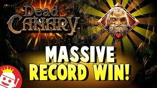 JUST IN!!  MASSIVE WIN ON NEW DEAD CANARY SLOT!!