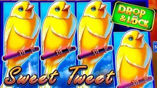 Drop & Lock SWEET TWEET Slot Machine Bonus & Nice Come Back | Live Slot Play At Casino |SE-5 | EP-31