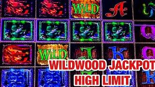WILD WOOD SLOT/ JACKPOT WIN/ BONUS/ HIGH LIMIT