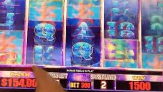 Muff Divin' Dolphin Slot Machine Bonus