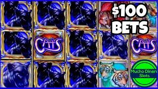 $100 BETS CATS SLOT  HIGH LIMIT FREE GAMES  HUGE JACKPOTS