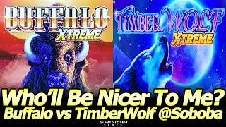 Buffalo Xtreme and TimberWolf Xtreme Slot Machines - Who'll Be Nicer To Me at Soboba Casino?