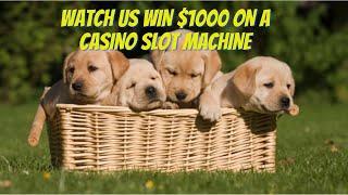 $1000 on Dancing Drums Slot Machine
