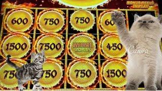 GREAT BALLS OF FIRE DRAGON LINK CRAZY CASH SOME BIG BALLS WITH SLOWPOKESLOTS