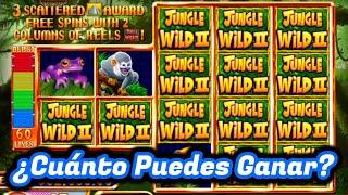 Apuesta de $37.5 USD en Jungle Wild 2!  Tragamonedas Clásico de Casino
