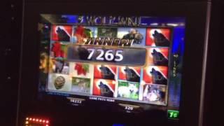 Wild Wolf 3 Slot Machine Line Hit Lucky Eagle Casino