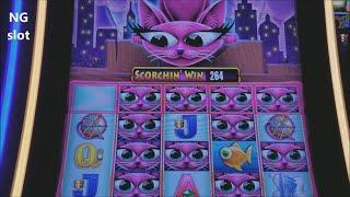 Miss Kitty Gold Slot Machine Bonus Won ! Slot Machine Live Play
