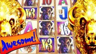 AWESOME RUN  BUFFALO GOLD! BETTER THAN JACKPOT LIVE PLAY! | Slot Traveler