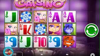 CATSINO Slot machine by RIVAL GAMEPLAY   PlaySlots4RealMoney