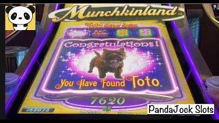 We found Toto on Munchkinland!