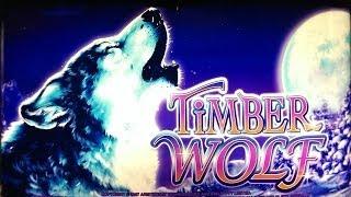 Timber Wolf Slot - Bonus Free Spins Win