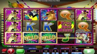 Wild Birthday Blast slot machine by 2by2 Gaming | Game preview by Slotozilla