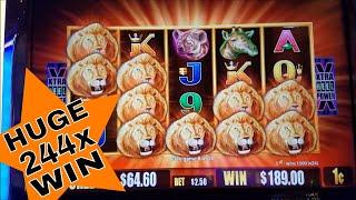 Sunset King Slot Machine Super Big Win   SUPER FEATURE BONUS  Huge Win