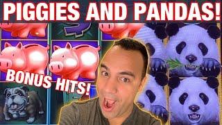 Dragon Link Panda Magic!!!   | Lock It Link Piggy Bankin’  | EEEEE!!!
