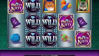 PRETTY KITTY Video Slot Casino Game with a PRETTY KITTY FREE SPIN BONUS