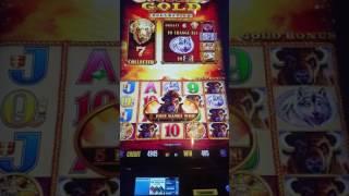 ENOUGH WONDER 4, Going back to Buffalo Gold Slot play - All Bonuses 5/18/17