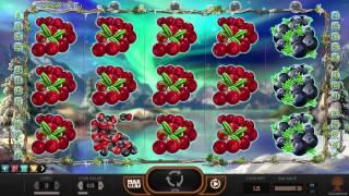 Winterberries slot by Yggdrasil video game preview