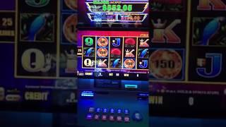 PandaJock Slots goes live for the first time from Cosmopolitan with Vic T slots!!!