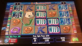 Arctic Fox - Jackpot Handpay During Bonus Free Games Brian of Denver Slots
