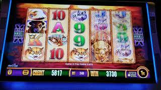 $100 LIVE PLAY on WONDER 4 SLOT BUFFALO GOLD - 8/17/17