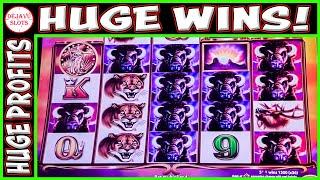 HUGE WINS & PROFIT WITH $100 FREE PLAY! BUFFALO ASCENSION SLOT MACHINE