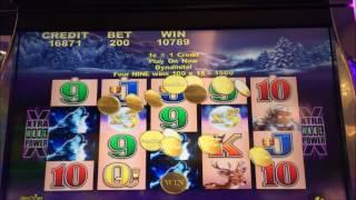 $2.00 and $4.00 Bet Timber Wolf Is Wearing Me Out......but in a good way