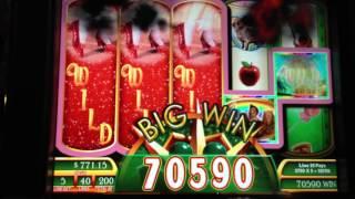 Handpay Wizard of Oz