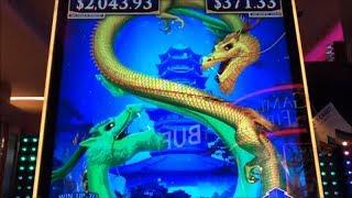Does Dragon love me?50 FRIDAY 43Fun Real Slot Live PlayForest Dragons/Double Blessings Slot 栗スロ